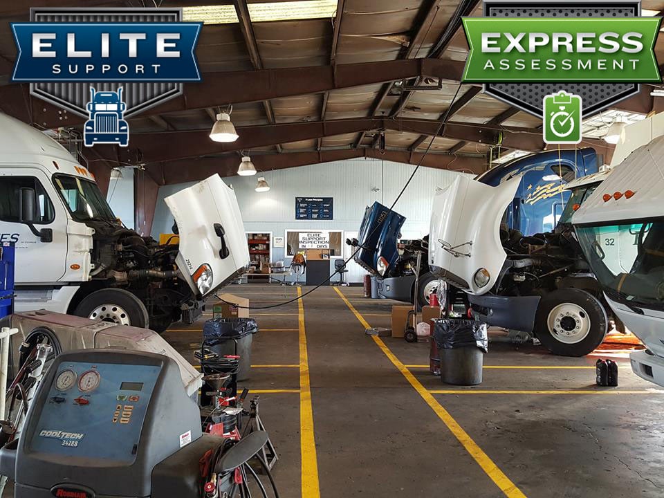 Elite Certified